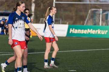 Bild 433 - wBJ Hamburger SV - Hertha BSC : Ergebnis: 2:1